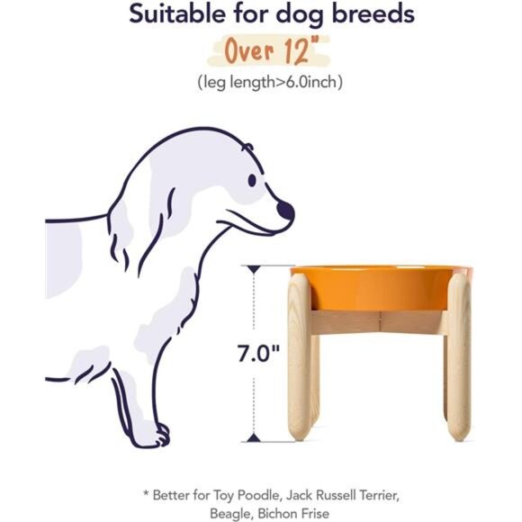 Ceramic Slow Feeder Dog Bowls Elevated for Small and Medium Breed, Dog Bowls - Picture 6 of 7